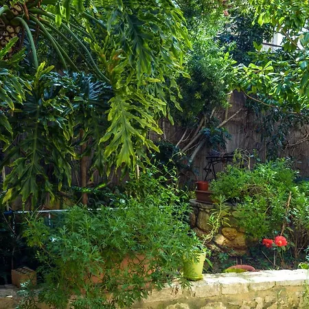 Resident Of Ftilitakis Family